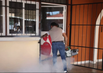 Alertan repunte de dengue y zika en Quintana Roo tras temporada de lluvias