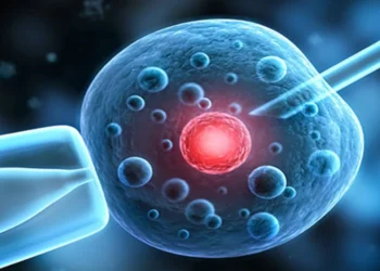 Científicos crean ovarios artificiales para devolver la fertilidad a mujeres que han superado el cáncer.