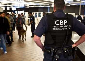 Insólito: Cae en Texas cargamento de 163 animales exóticos para México