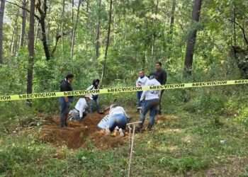 Horror en Michoacán: Hallan restos en antiguo terreno de diputado local