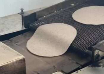 Precio de la tortilla en Q. Roo: ¿Por qué subiría en 2026?