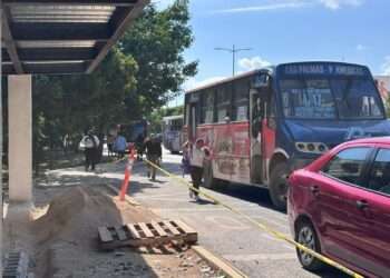 ¡Se salva el aguinaldo! Cancelan aumento al transporte en Cancún; usuarios festejan Tras días de incertidumbre y rumores sobre una tarifa de 15 pesos, las autoridades frenaron el alza.