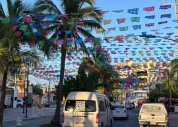 ¡Prepara la cartera! Publican costos oficiales para el canje de placas 2026