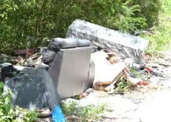 Basureros clandestinos en la Riviera Maya disparan riesgo de Dengue