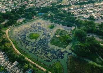 ¡Terror en Vergel! Brutal ataque a machetazos deja dos heridos graves