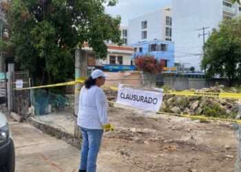 ¡Indignación en Playa del Carmen! Clausuran predio tras tala ilegal de árbol