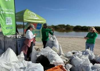 ¡Playas limpias! Retiran 33 toneladas de basura de la costa yucateca