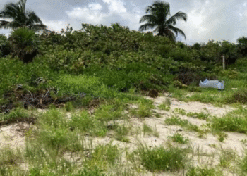 Rechazan nuevo proyecto inmobiliario en la Reserva de la Biósfera de Sian Ka’an