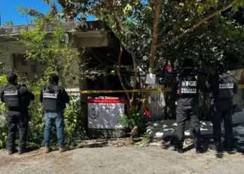 Cateos en Quintana Roo: nueve detenidos y aseguramiento de armas y droga
