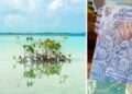 Laguna de Bacalar: Expertos presentan libros sobre mitos científicos