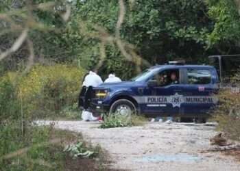 Localizan osamenta humana cerca de la carretera Gas Auto en Cancún